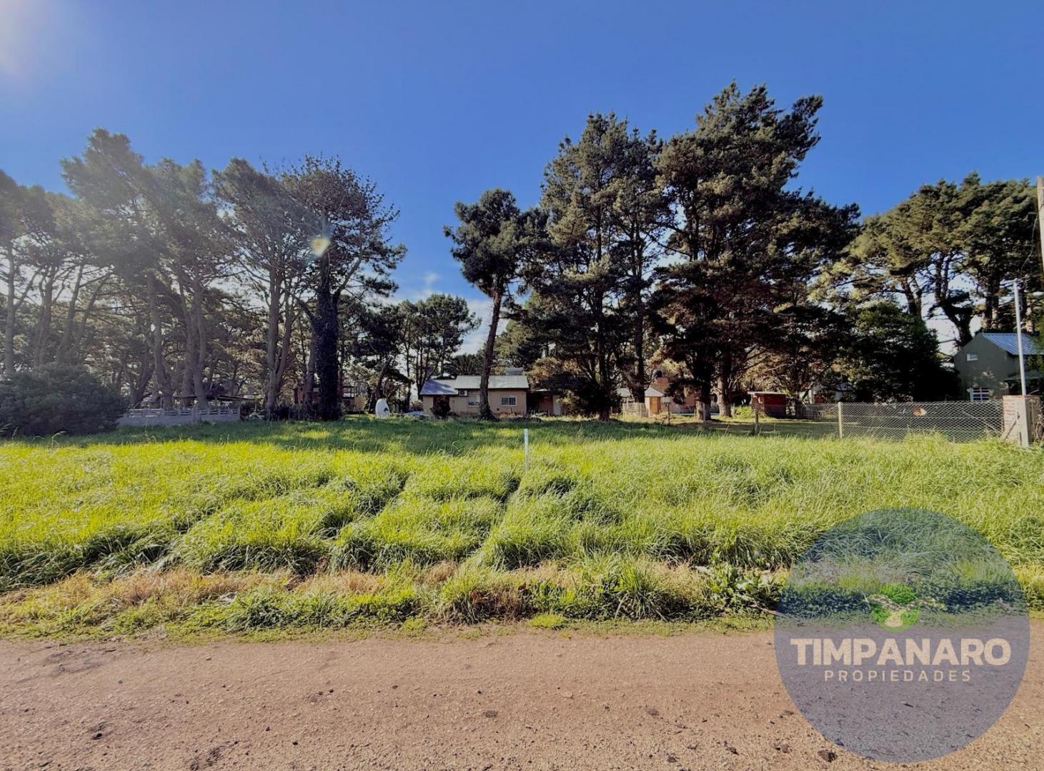 Foto de Terreno en La Caleta, imagen 2