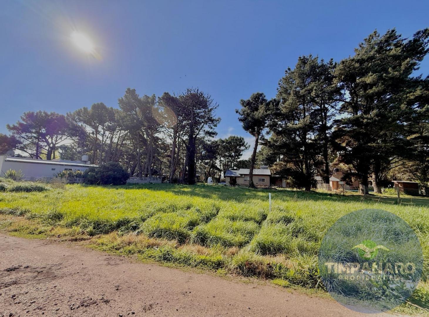 Foto de Terreno en La Caleta, imagen 5