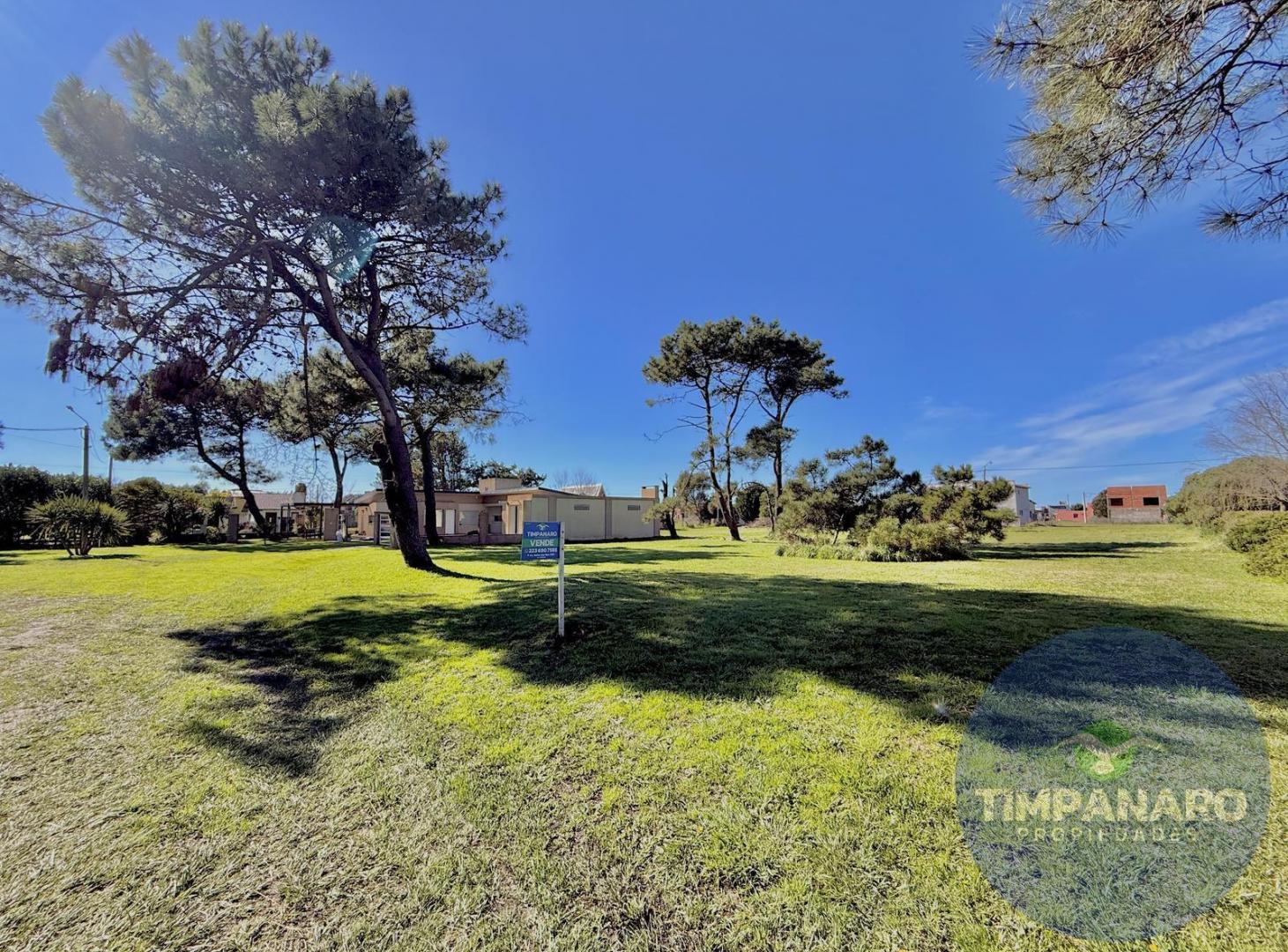 Foto de Lote en Venta en La Caleta – 432 m² a 400 m del Mar | Cerca del Bosque, imagen 5