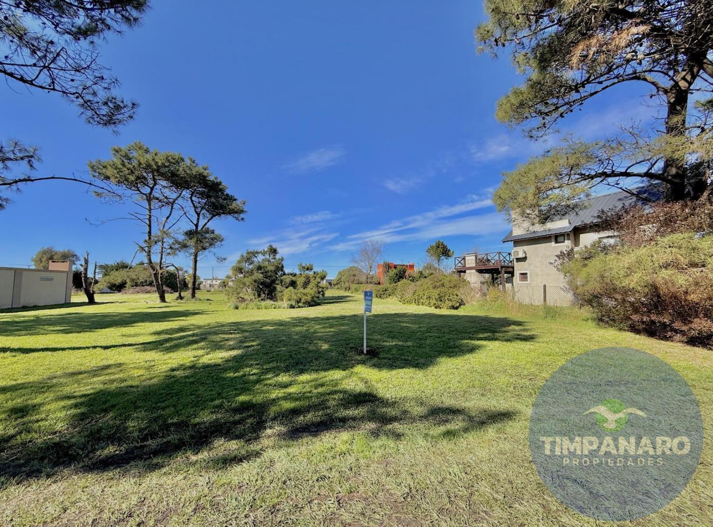 Foto de Lote en Venta en La Caleta – 432 m² a 400 m del Mar | Cerca del Bosque, imagen 3