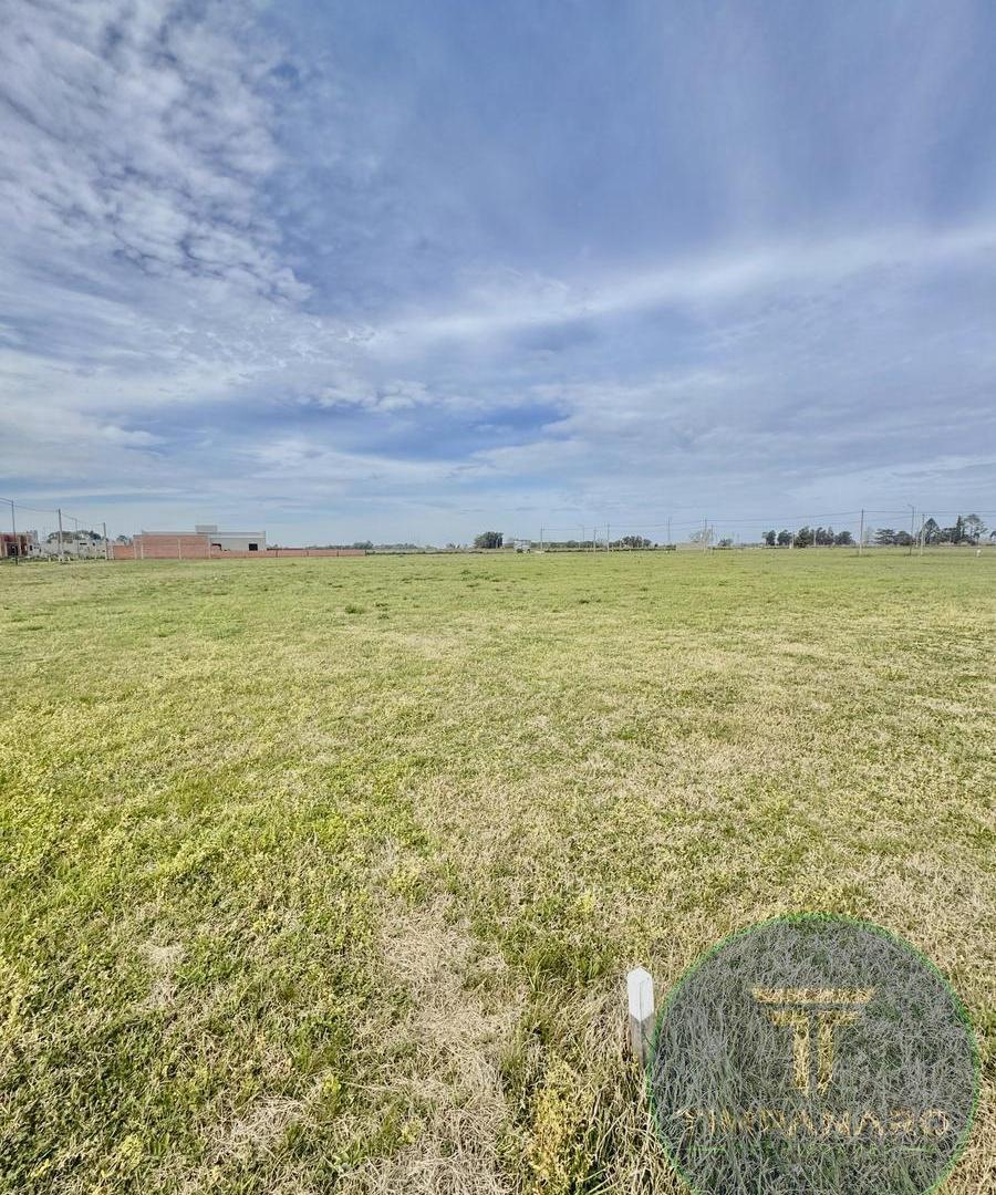 Foto de Lote en Venta en Saladillo – 288 m² con Todos los Servicios | RETASADO, imagen 4