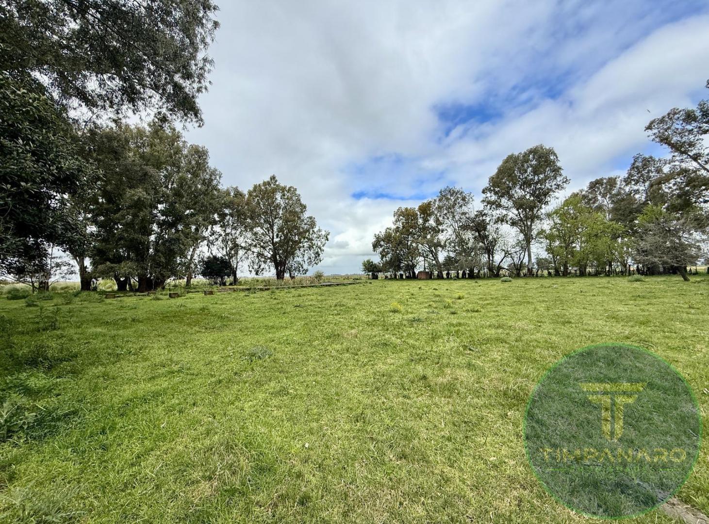 Foto de Chacra en Venta en Del Carril, Saladillo | 15,5 Hectáreas con Potencial, imagen 2