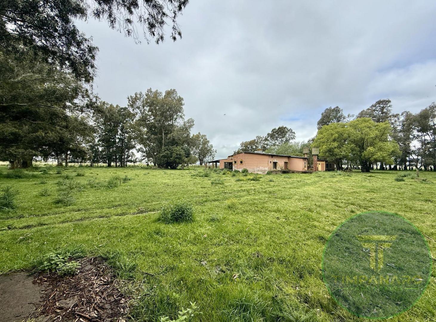 Chacra en Venta en Del Carril, Saladillo | 15,5 Hectáreas con Potencial Productivo