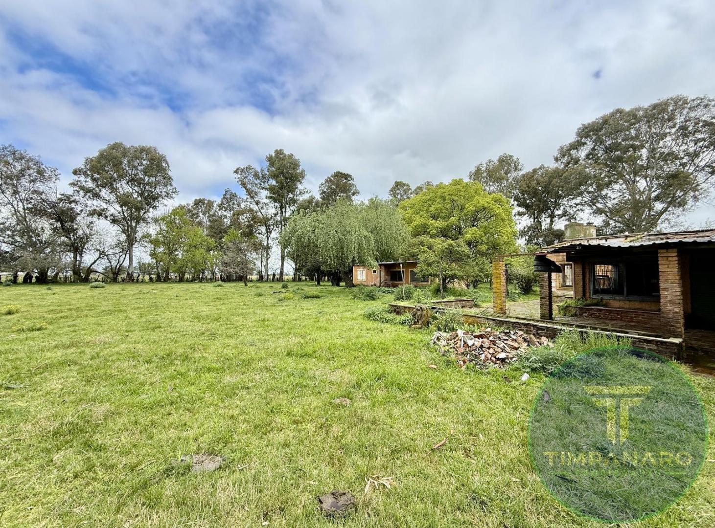 Foto de Chacra en Venta en Del Carril, Saladillo | 15,5 Hectáreas con Potencial, imagen 3