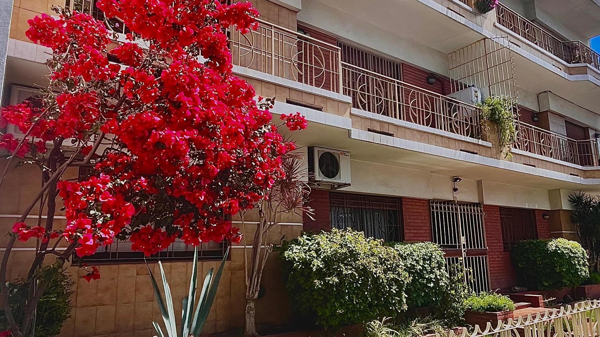 Departamento / Semipiso de 3 ambientes al frente en venta en Valentín Alsina