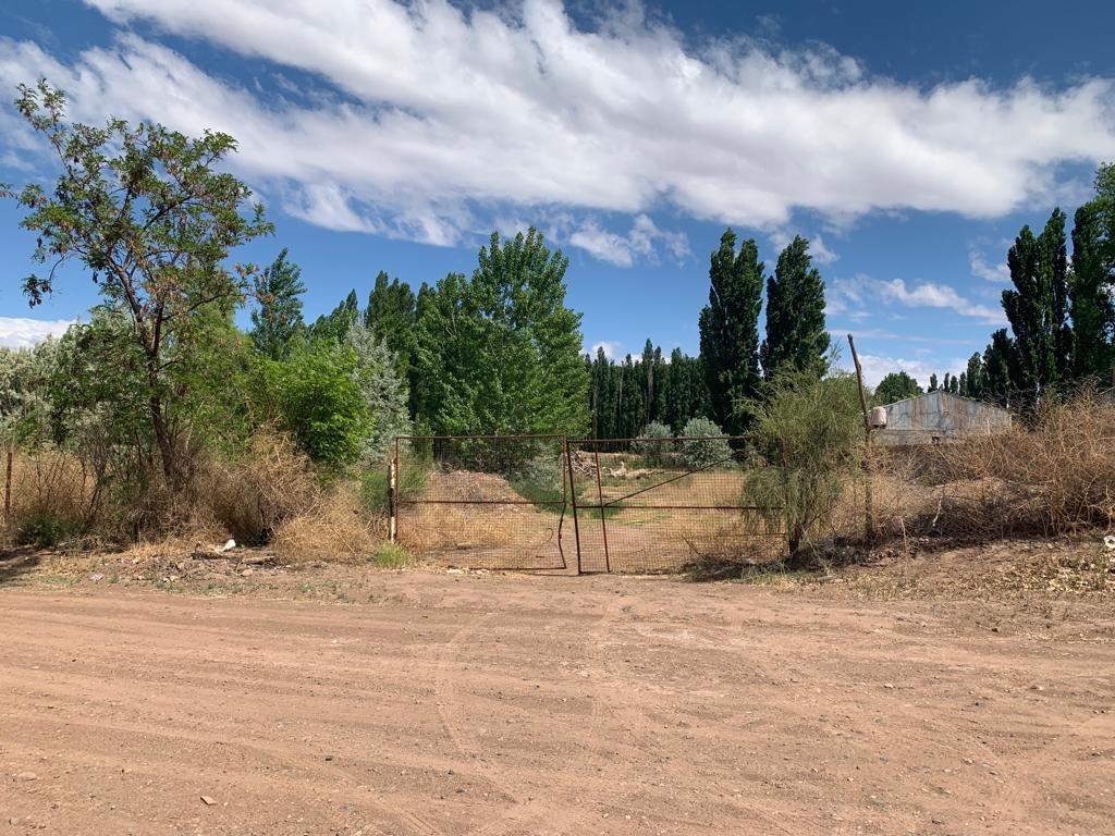 Lote. | 7 3
