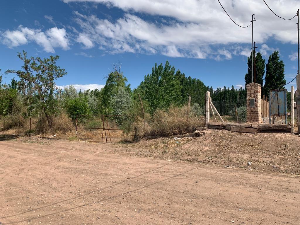Lote. | 7 2