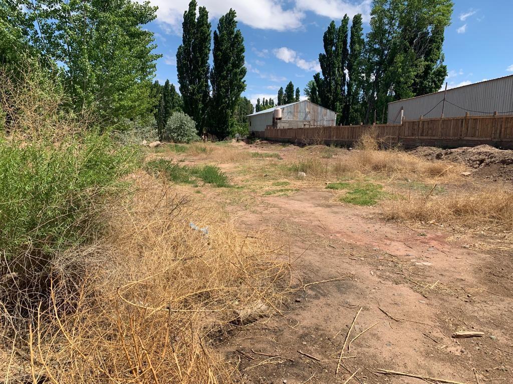Lote. | 7 4