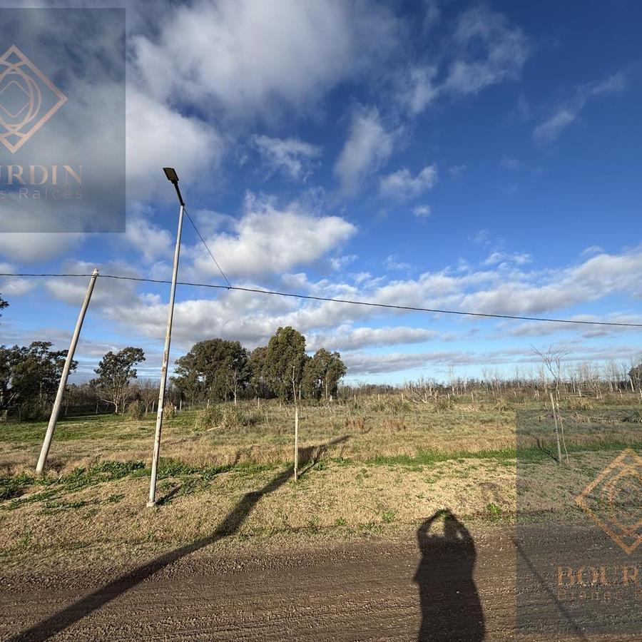 Foto de Excelente lote en venta en La Cañada 1, imagen 5