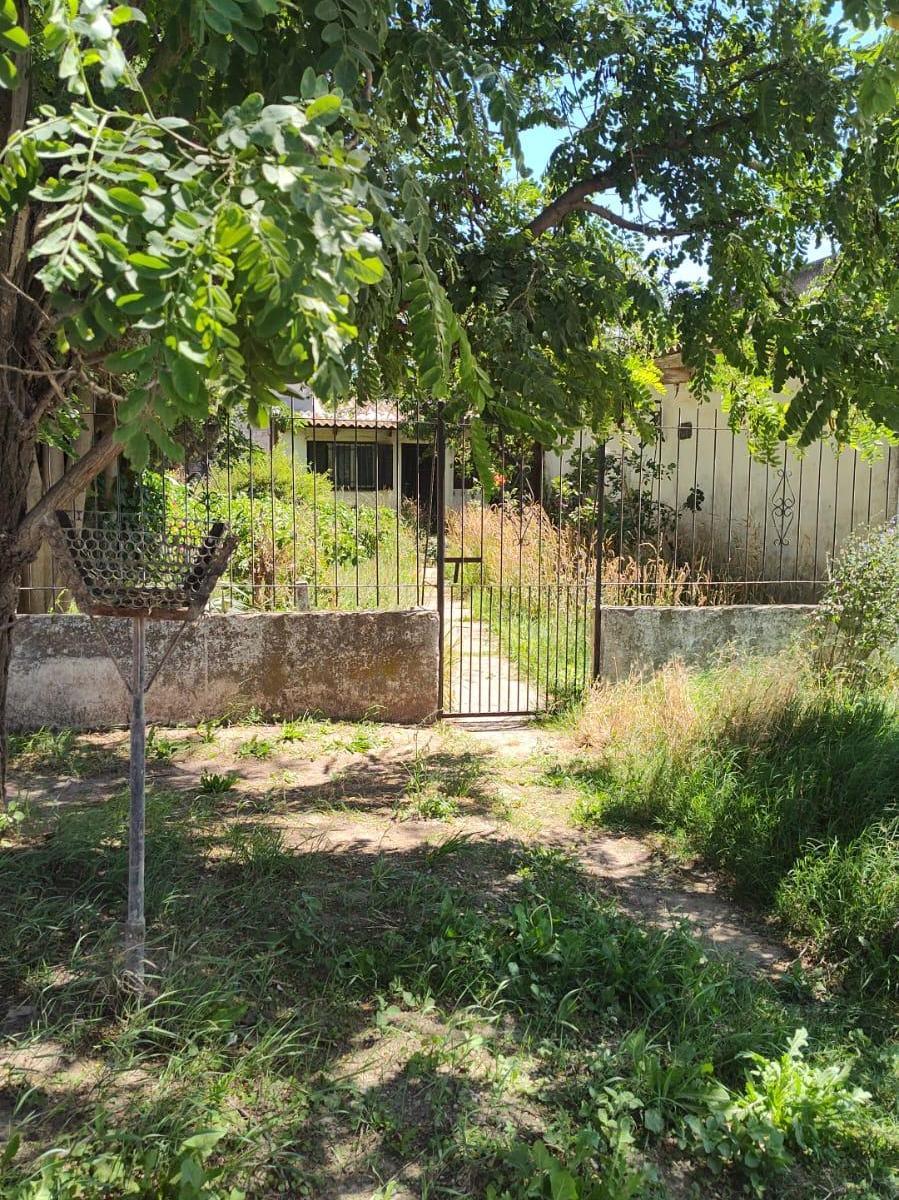 En Venta Casa con Parque y Árboles 2