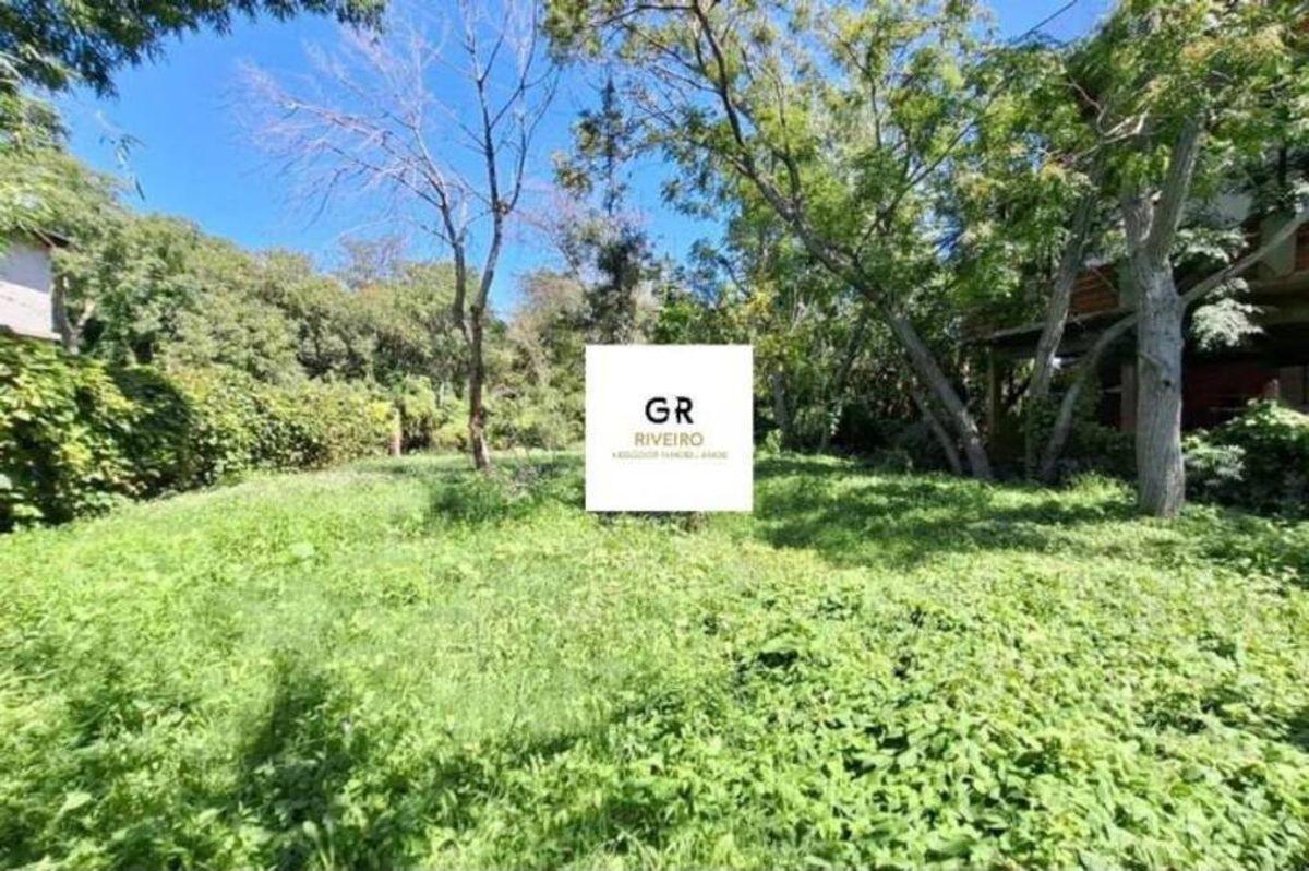 Foto de TERRENO EN LA RIBERA DE QUILMES, imagen 4