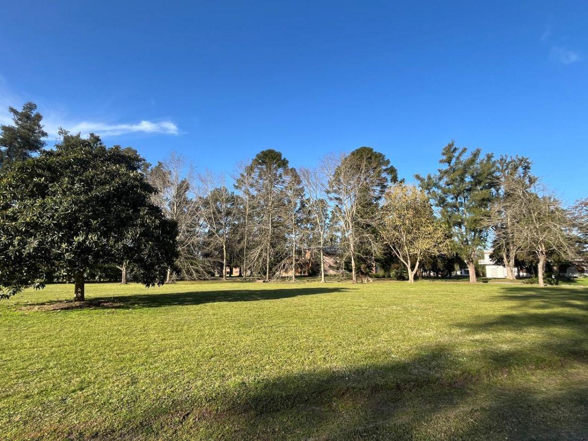 Foto de VENTA TERRENO LA ARBOLADA, imagen 3