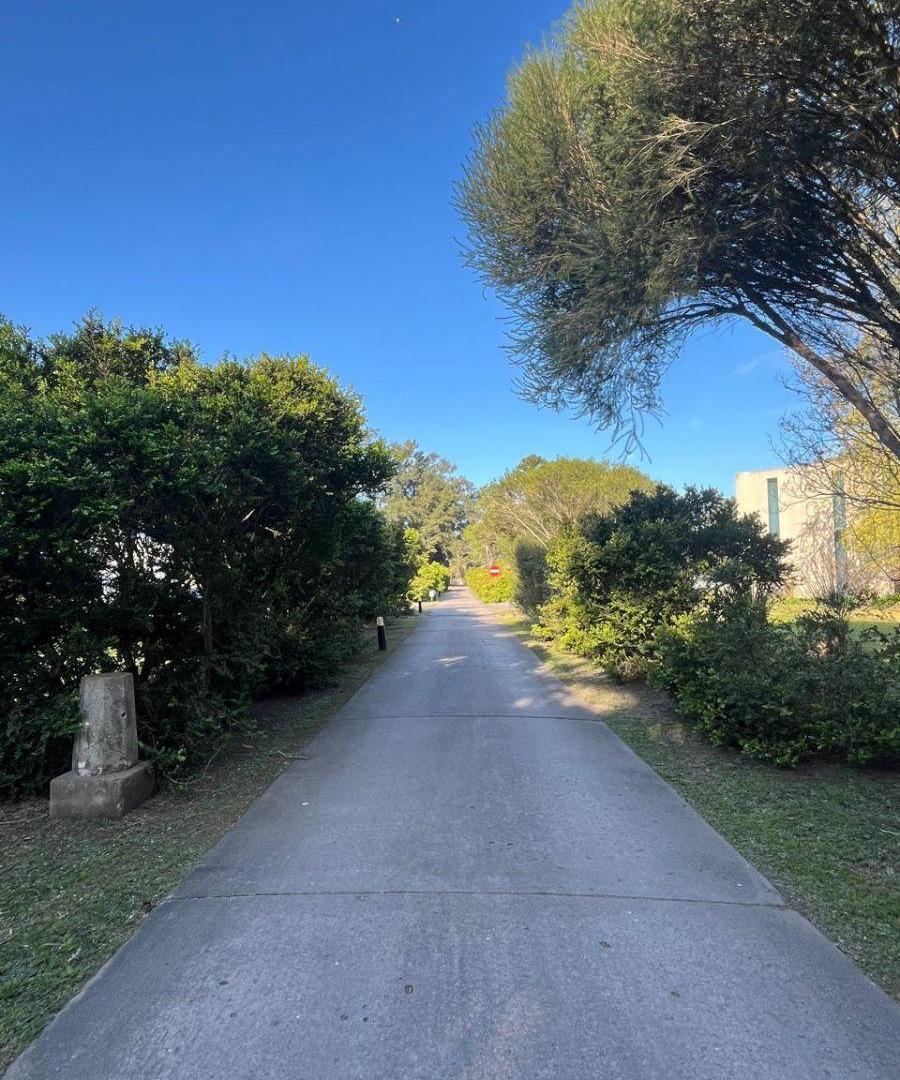 Foto de VENTA TERRENO LA ARBOLADA, imagen 5