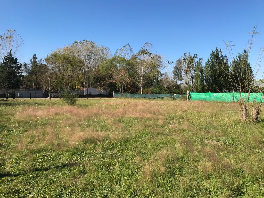 Terreno - Francisco Alvarez