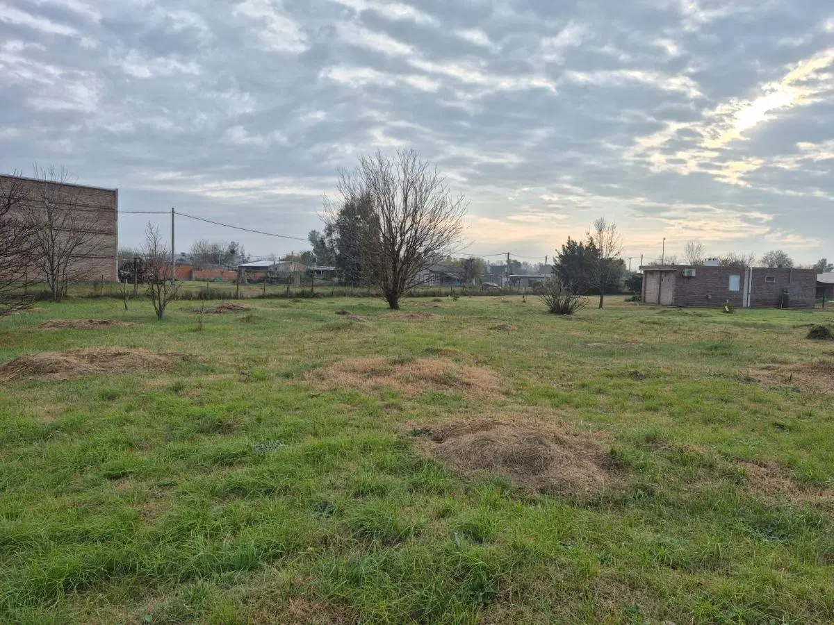 Terreno forestado 900m2 4