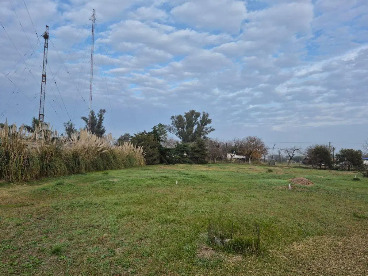 Terreno forestado 900m2 2