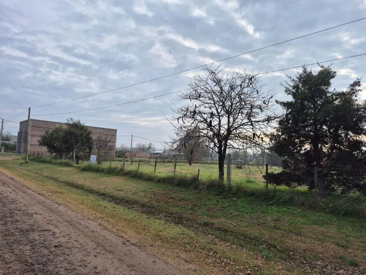 Terreno forestado 900m2 1