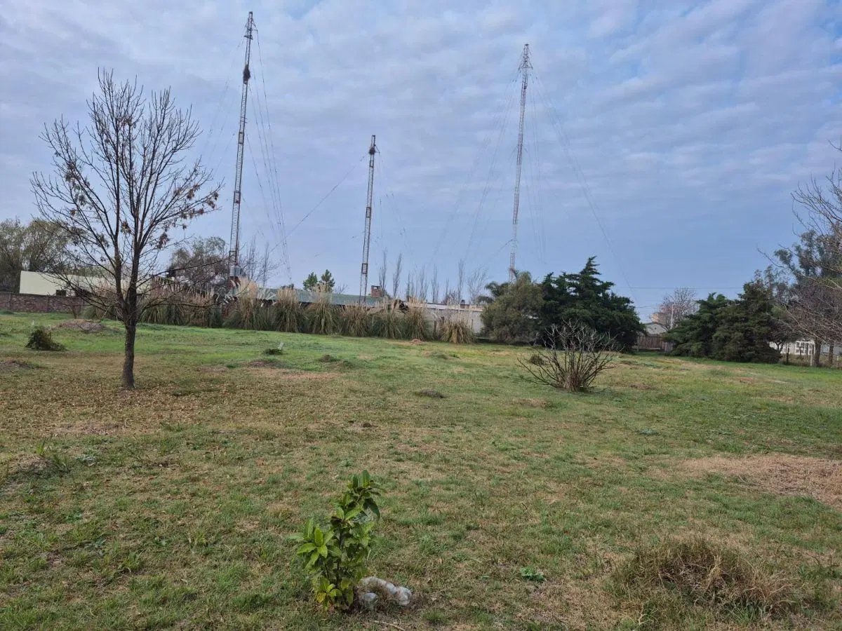 Terreno forestado 900m2 5