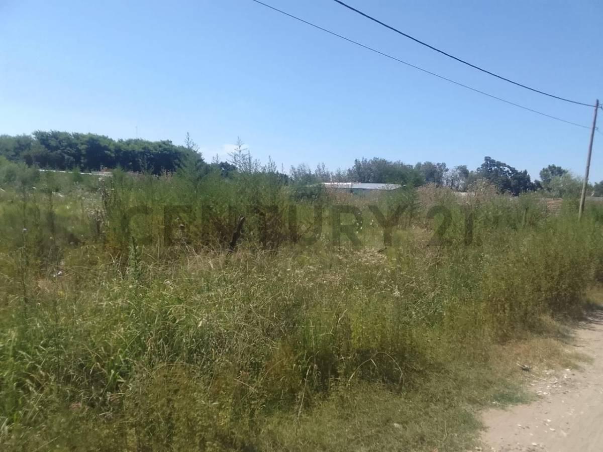 Lote en Venta 3