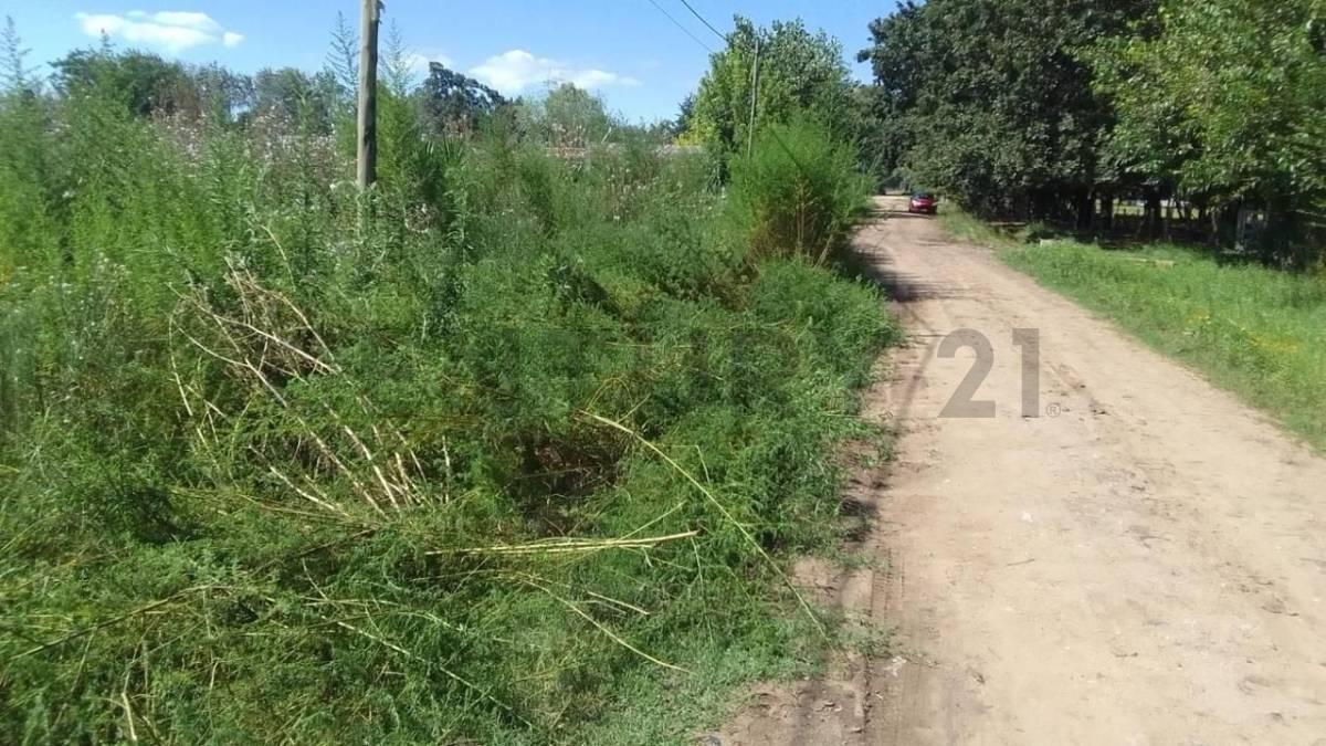 Lote en Venta 4