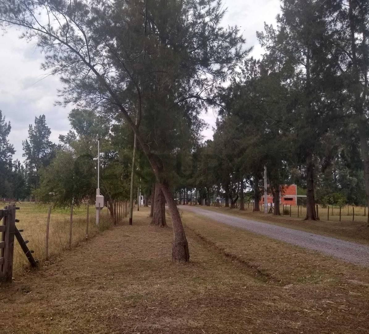 Barrio Cerrado "Estancia Las Malvinas Ii" - Lotes en Venta - Brandsen 5