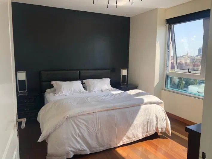 Departamento en Puerto Madero 2