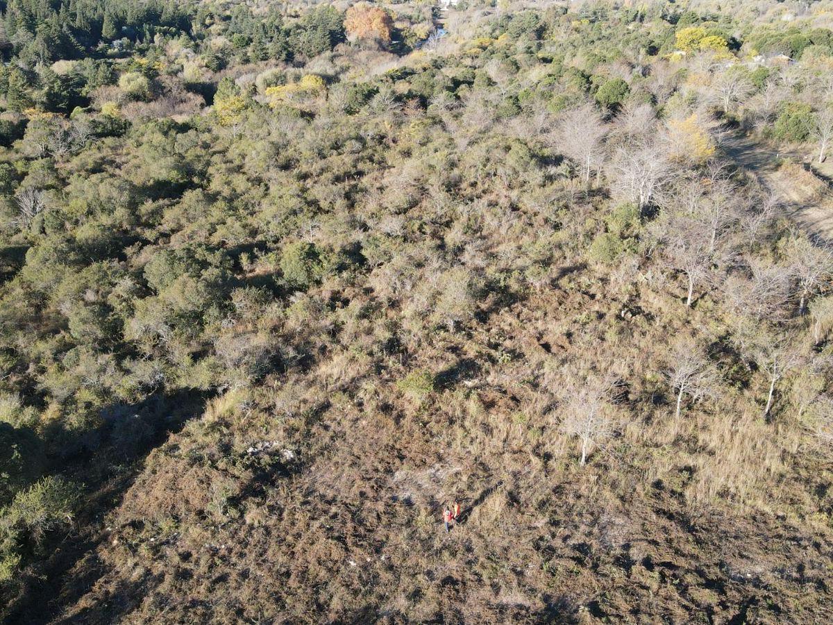 10 Lotes en Venta con Vista Serrana, en Casa Grande 3