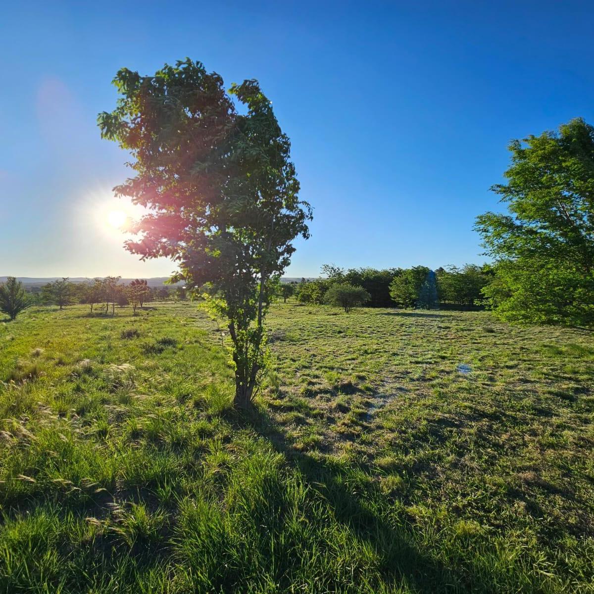 Foto de Terreno / Lote en venta de 1304m2 ubicado en Villa Giardino, imagen 3