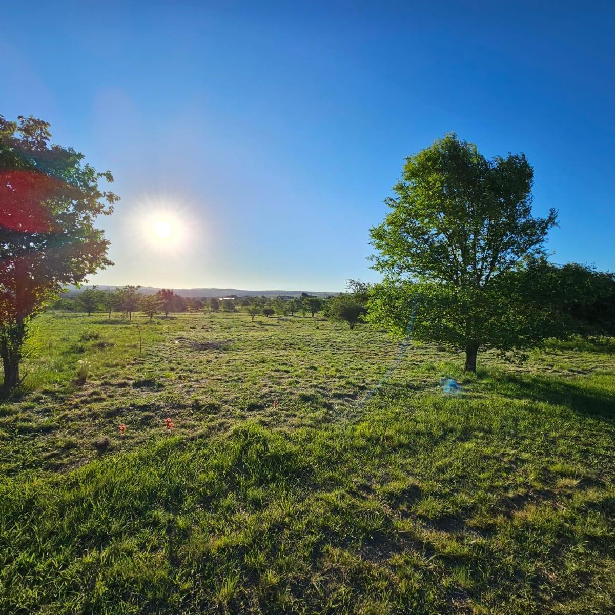 Foto de Terreno / Lote en venta de 1304m2 ubicado en Villa Giardino, imagen 4