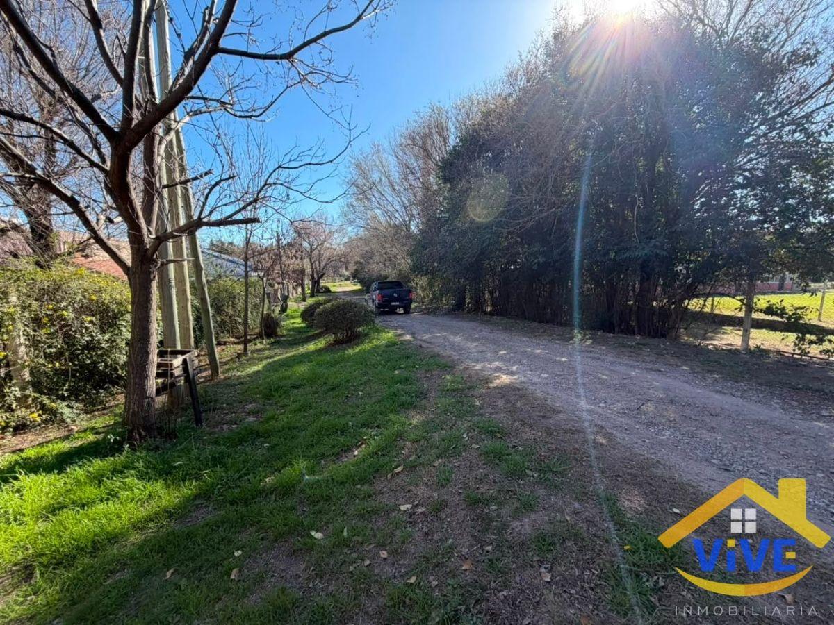 Foto de Casa en alquiler c/ cochera en Molinari, imagen 1