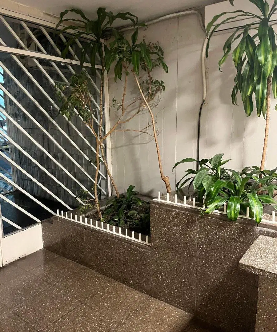 REMODELADO A NUEVO! 6