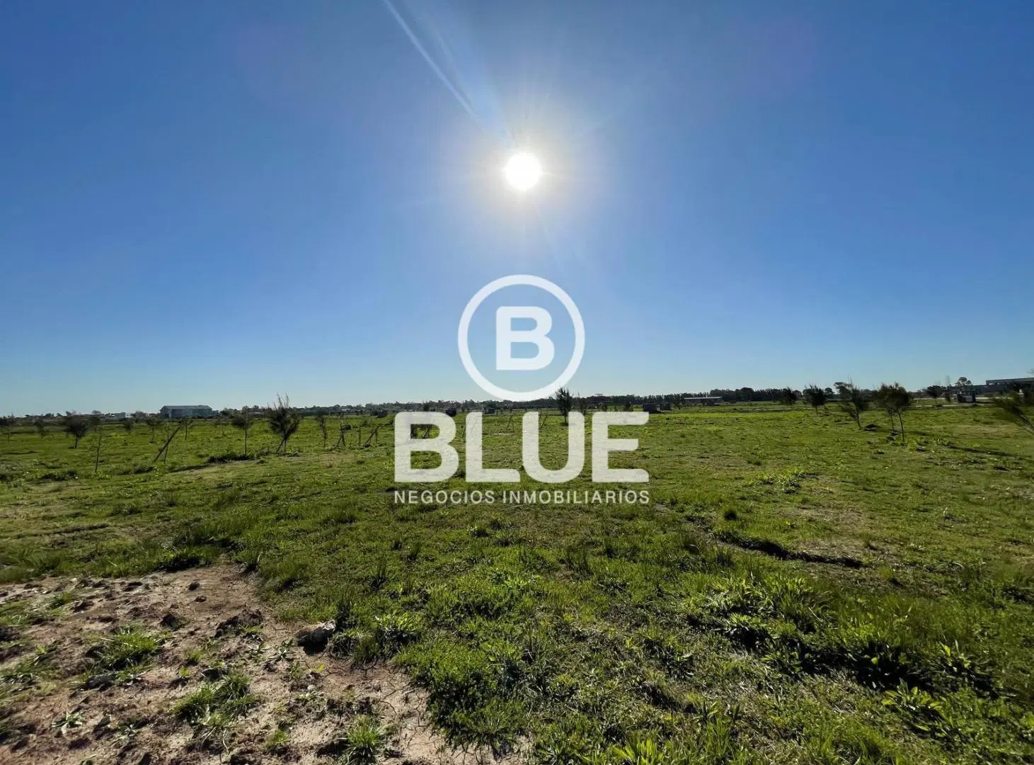 Lote Venta Canning Saint Thomas Chico 2
