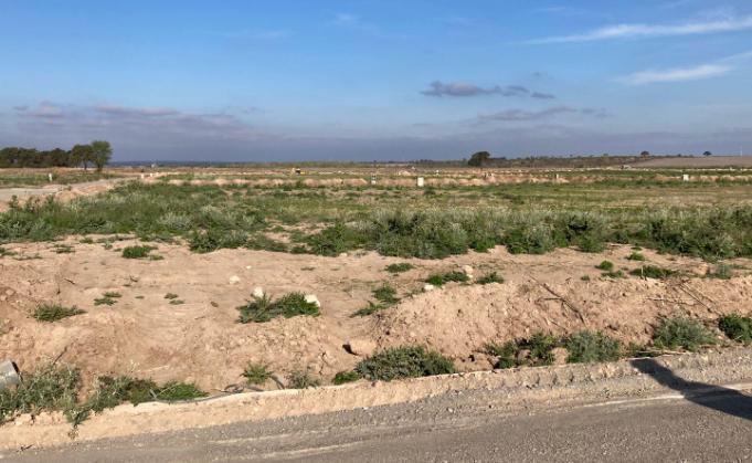 Foto de Lote en venta en Veneto Country, imagen 4