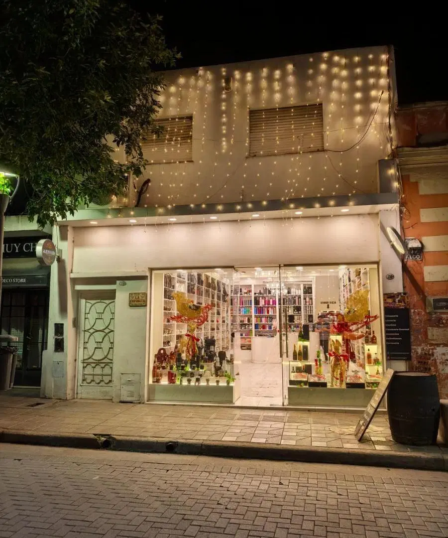 Amplio local comercial +departamento 3