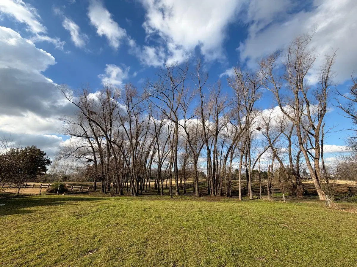 En venta - Espectacular lote en el Golf, Estancias del Pilar 5