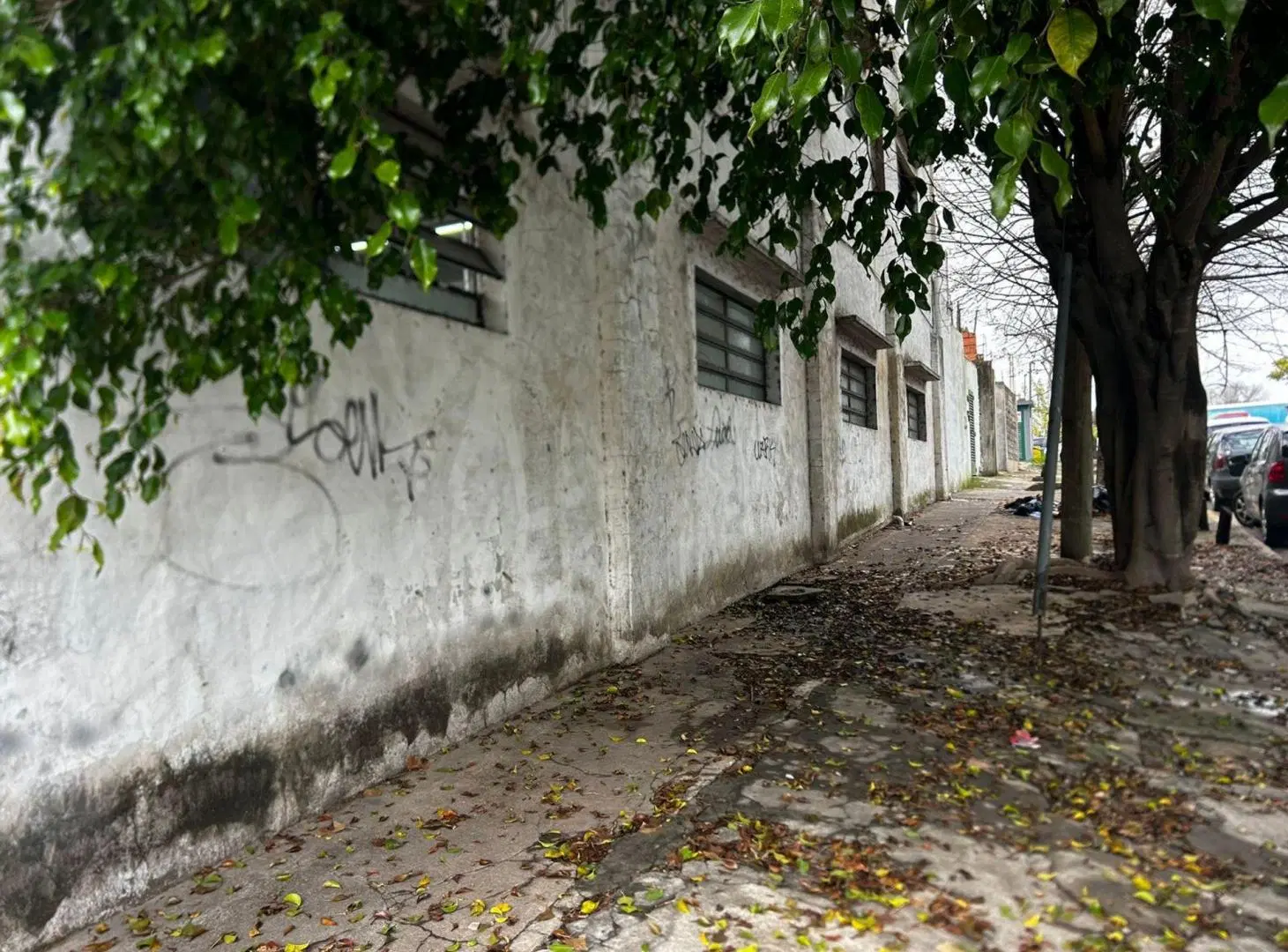 VENTA TALLER/GALPÓN BECCAR + 7 MONOAMBIENTES INDEP 4