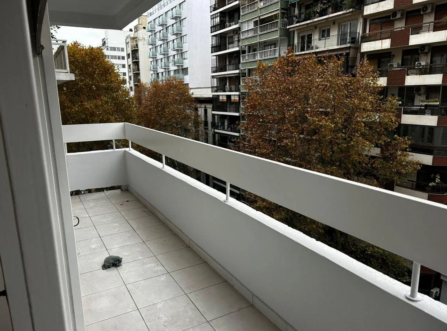 ALQUILER DEPARTAMENTO 5 AMB. RECOLETA C/COCHERA 3
