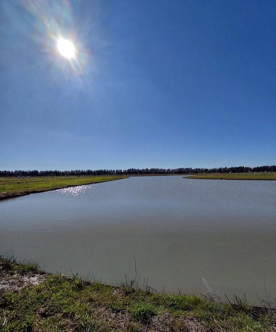 Lote en venta laguna Permuta por propiedad en CABA 5