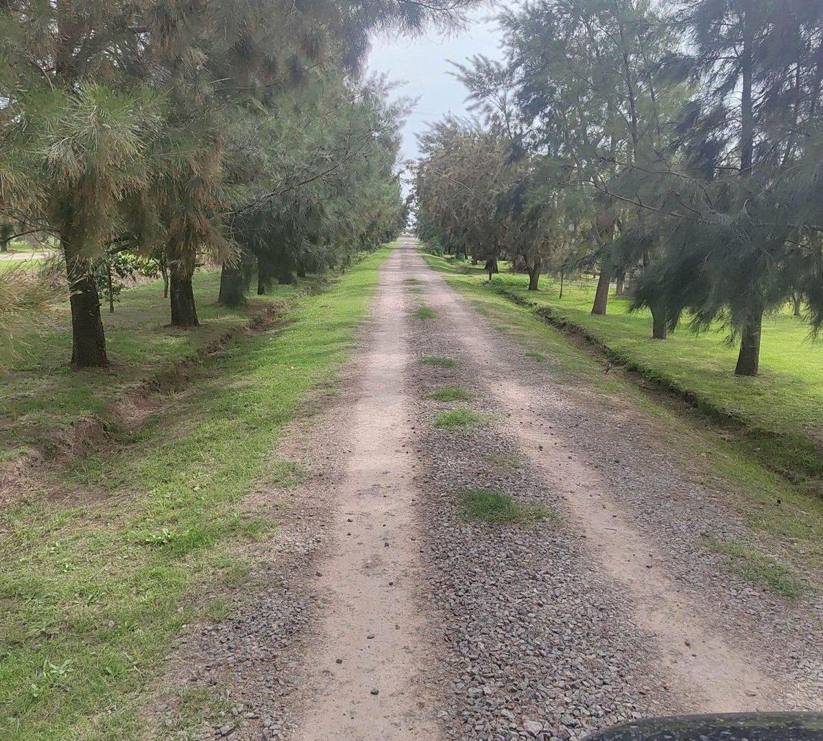 Foto de LOTE VENTA SAN MIGUEL DEL MONTE TERRENO 1.200 M2, imagen 2