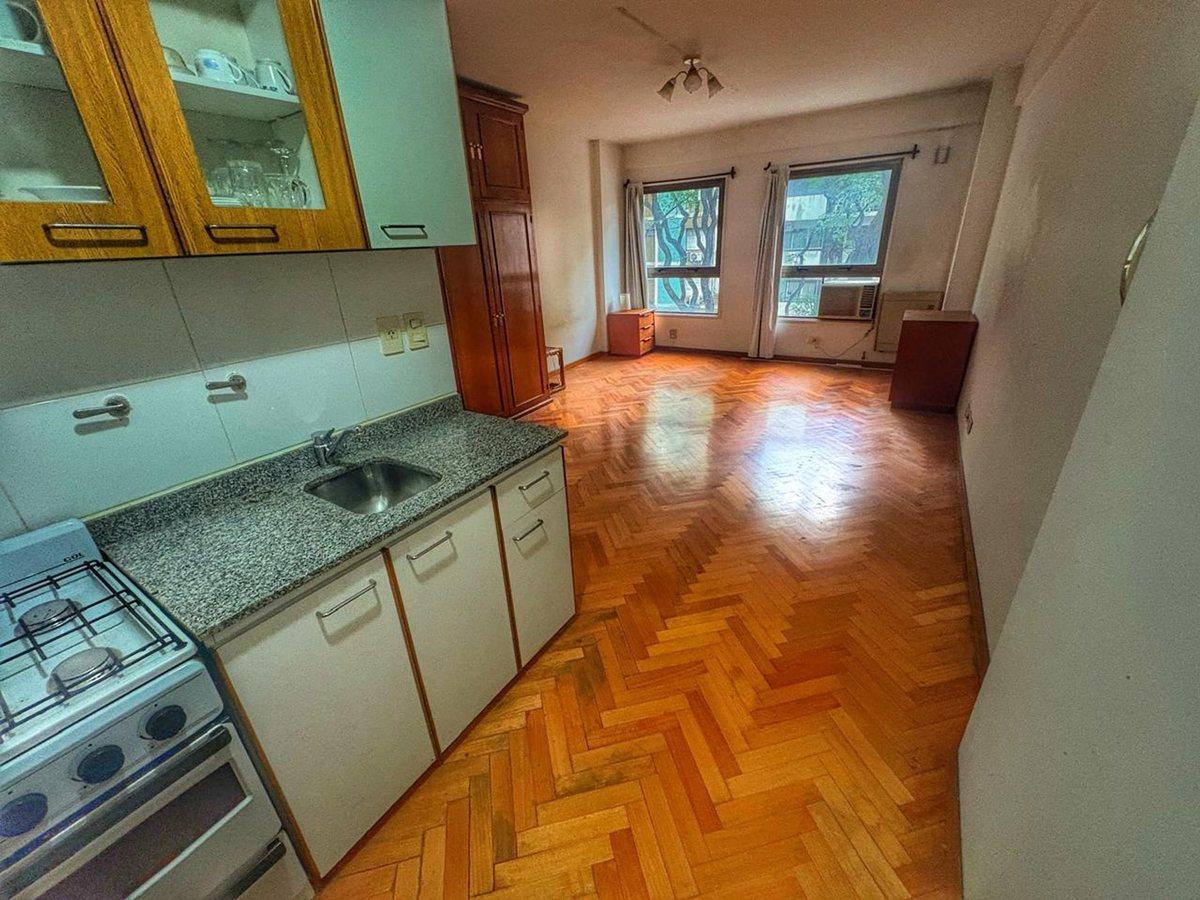 Foto de Venta Monoambiente Muy Luminoso Palermo, imagen 2