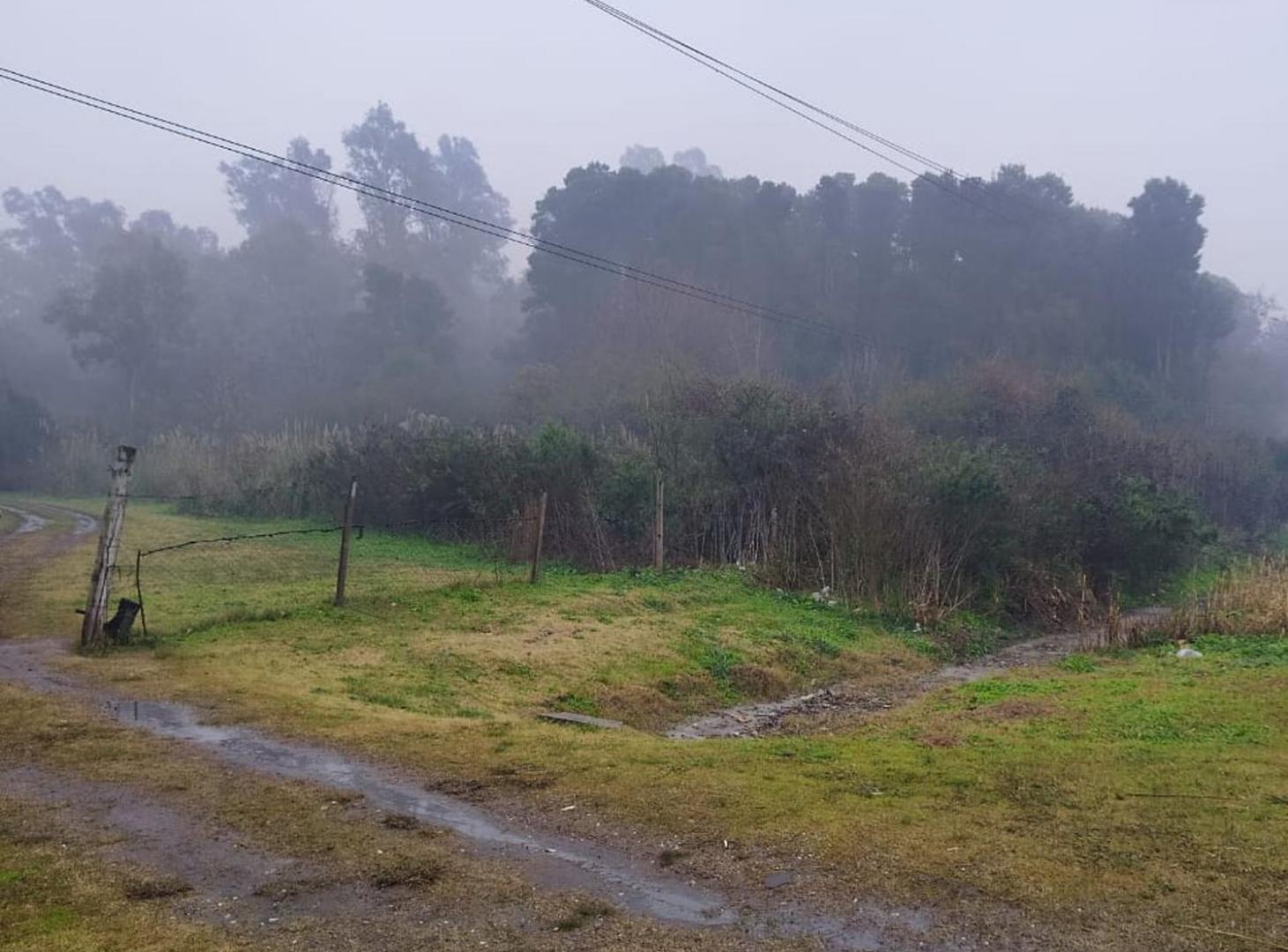Foto de TERRENO EN VENTA AVENIDA DARDO ROCHA PILAR, imagen 1