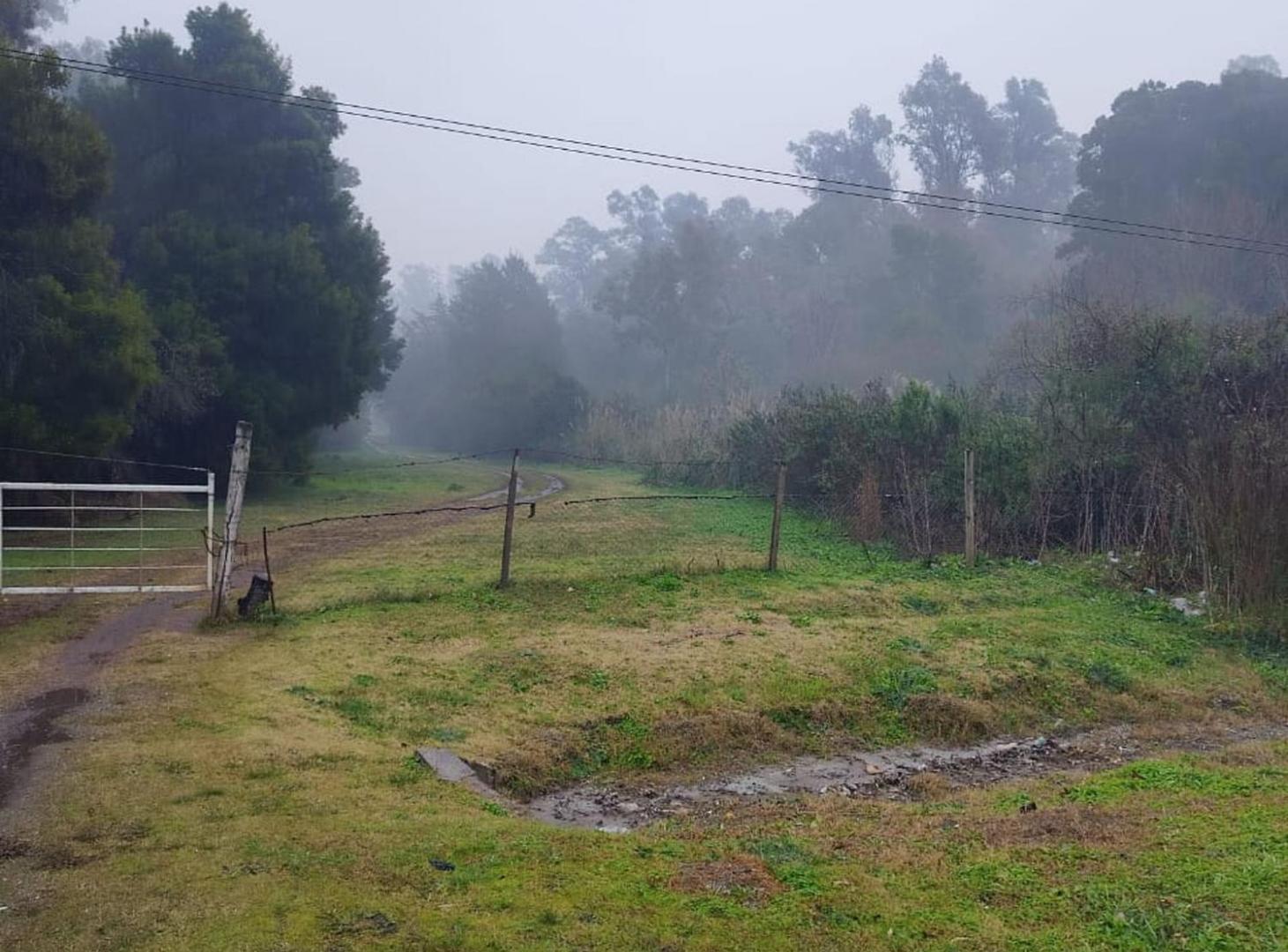Foto de TERRENO EN VENTA AVENIDA DARDO ROCHA PILAR, imagen 5