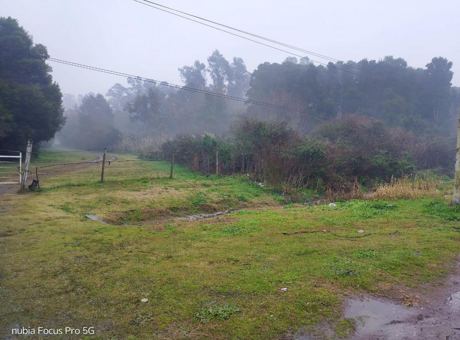 Foto de TERRENO EN VENTA AVENIDA DARDO ROCHA PILAR, imagen 4