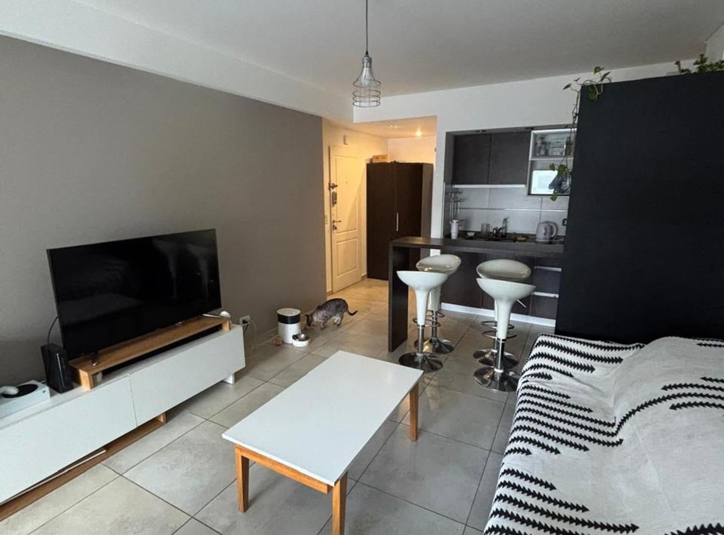 Foto de ALQUILER MONOAMBIENTE CON PATIO AMOBLADO SAAVEDRA, imagen 2