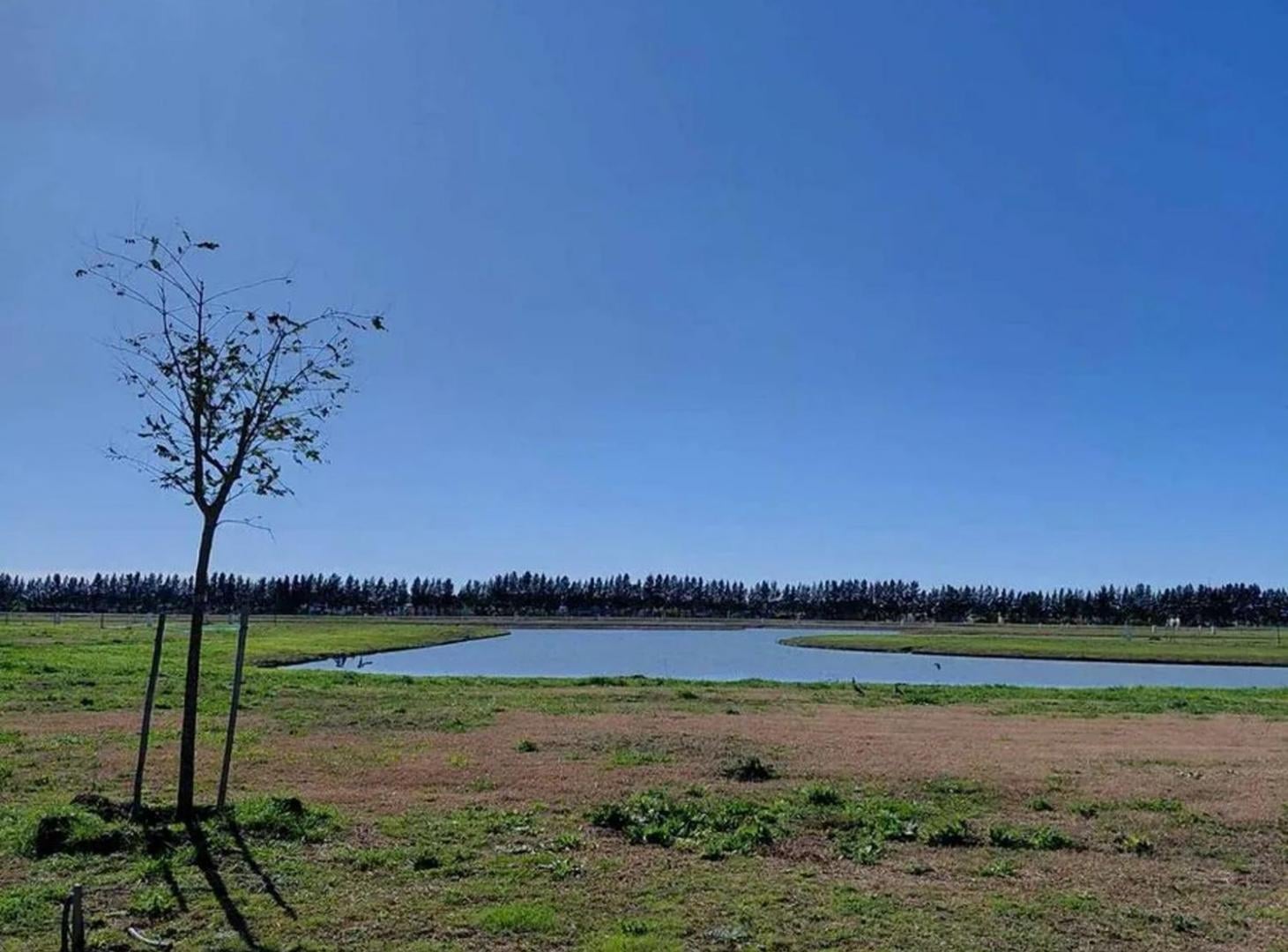Foto de VENTA TERRENO A LAGUNA ORIENTACION NORTE CANNING, imagen 2
