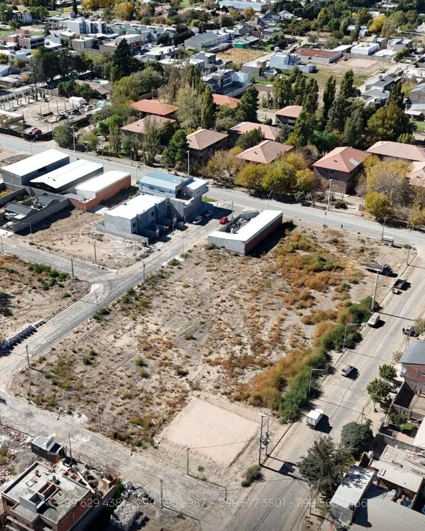 Lote . | Copahue 4