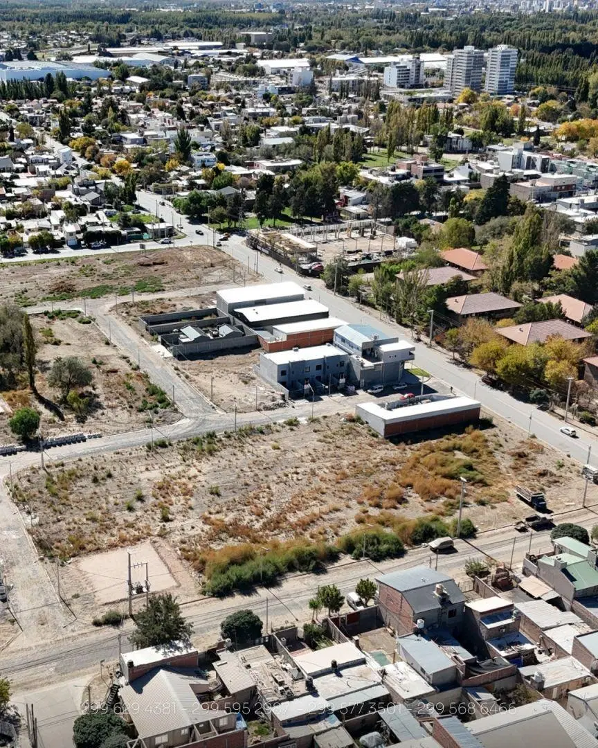 Lote . | Copahue 3