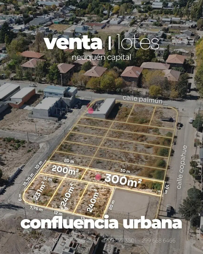 Lote . | Copahue 1