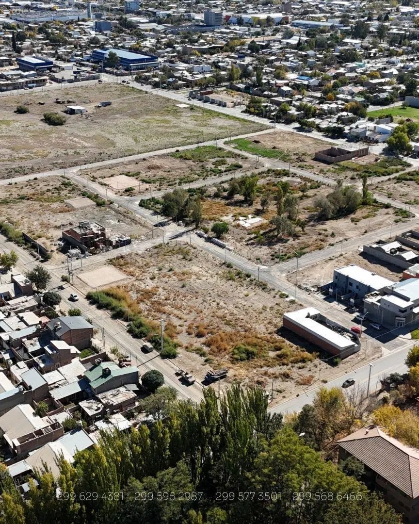 Lote . | Copahue 2