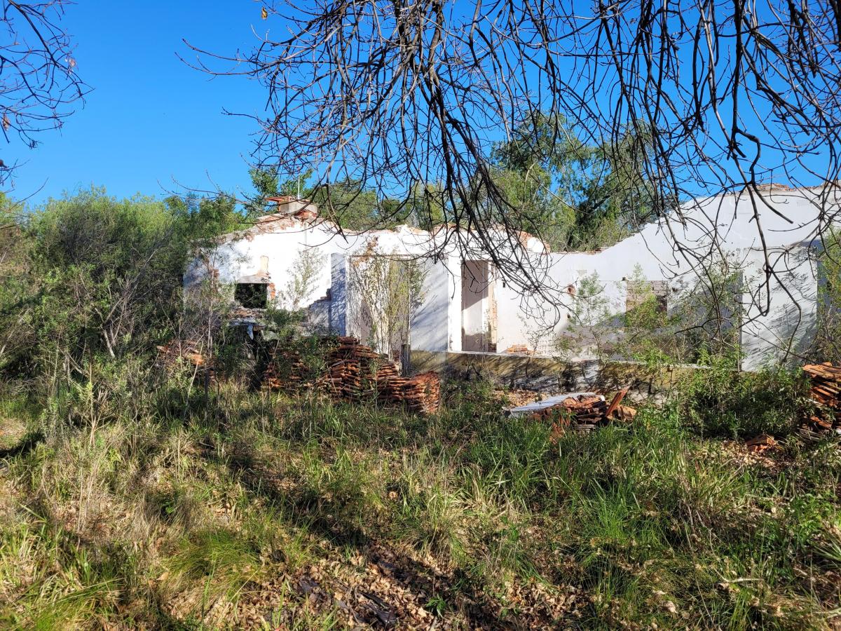 Terreno de 5,2 Hs. Sobre Ruta 1 Km 19,5 Arroyo Leyes 2